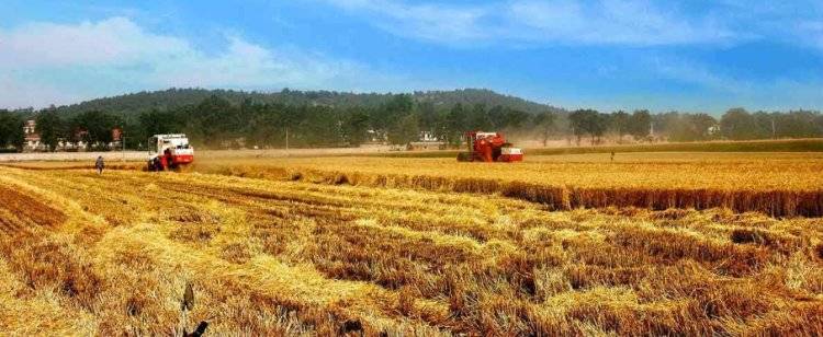 CHINA HARVESTER ZHONGLIAN BRAND,THE MOST POPULAR HARVESTER I