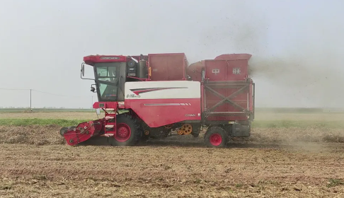Master Sun, Tongliao Inner Mongolia: Skip Costly Detours by Learning from Fellow Operators — Pick Zhonglian Harvest Peanut Harvesters(图1) image.png