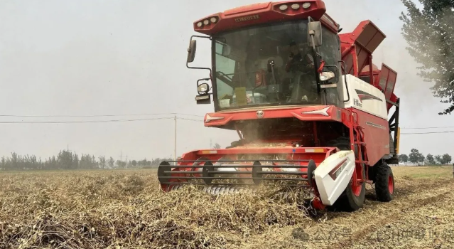 Fuxin Zhangwu Master Wu: A seasoned farmer mechanic goes newbie and reaps a bountiful harvest in the first season(图3) image.png